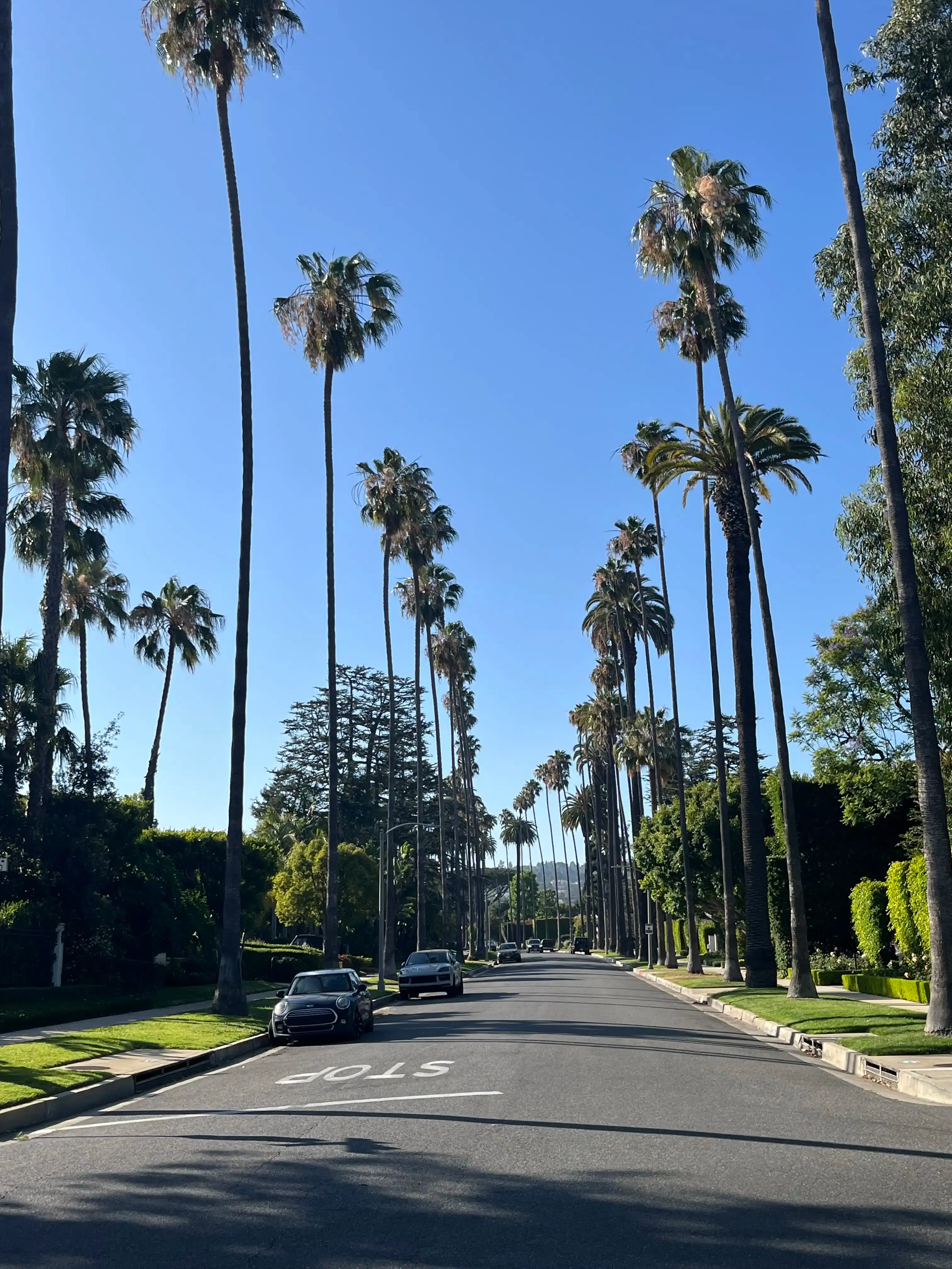 Los Angeles photograph